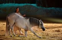  	evenement EQI-Spectacle-equestre-Tous-droits-reserves-aux-producteurs-du-spectacle DSC_1235reccorr.thumb.jpg