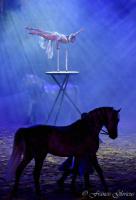  	evenement EQI-Spectacle-equestre-Tous-droits-reserves-aux-producteurs-du-spectacle DSC_1252reccorr2.thumb.jpg