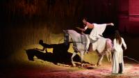  	evenement EQI-Spectacle-equestre-Tous-droits-reserves-aux-producteurs-du-spectacle DSC_1304reccorr2.thumb.jpg