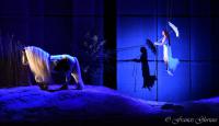  	evenement EQI-Spectacle-equestre-Tous-droits-reserves-aux-producteurs-du-spectacle DSC_1373reccorr2.thumb.jpg