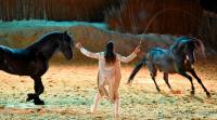  	evenement EQI-Spectacle-equestre-Tous-droits-reserves-aux-producteurs-du-spectacle DSC_1408reccorr.thumb.jpg