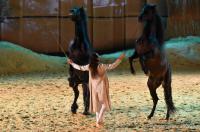 	evenement EQI-Spectacle-equestre-Tous-droits-reserves-aux-producteurs-du-spectacle DSC_1415reccorr.thumb.jpg