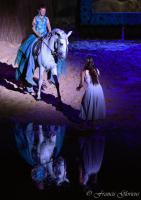  	evenement EQI-Spectacle-equestre-Tous-droits-reserves-aux-producteurs-du-spectacle DSC_1430reccorr2.thumb.jpg
