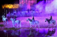  	evenement EQI-Spectacle-equestre-Tous-droits-reserves-aux-producteurs-du-spectacle DSC_1469reccorr.thumb.jpg