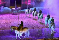  	evenement EQI-Spectacle-equestre-Tous-droits-reserves-aux-producteurs-du-spectacle DSC_1472reccorr.thumb.jpg