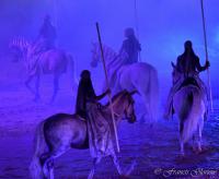  	evenement EQI-Spectacle-equestre-Tous-droits-reserves-aux-producteurs-du-spectacle DSC_1478reccorr.thumb.jpg