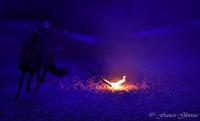  	evenement EQI-Spectacle-equestre-Tous-droits-reserves-aux-producteurs-du-spectacle DSC_1514reccorr.thumb.jpg