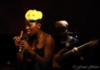 evenement Loumen-on-27-June-2015-at-Music-Village-Jazz-Club-Br DSC_6343reccorr.thumb.jpg