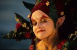 venise Venice-Carnival-Best-Of Carn_Faces_2.thumb.jpg