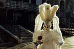 venise Venice-Carnival-Best-Of Manuela.thumb.jpg