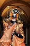 venise Venice-Carnival-Best-Of Orange_butterfly_in_gallery_465rec.thumb.jpg