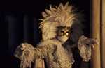 venise Venice-Carnival-Best-Of White_bird_and_column.thumb.jpg