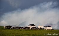evenement Waterloo-2015-Reconstitution-bicentenaire DSC_5822reccorr.thumb.jpg