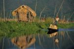 voyage myanmar 2_Inle_Boat_2.thumb.jpg