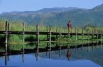 voyage myanmar 3_Inle_Bridge.thumb.jpg