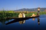 voyage myanmar 7_Inle_Man_on_a_boat_mirror.thumb.jpg