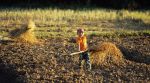 voyage myanmar 9_Kengtung_Boy_working_on_the_fields.thumb.jpg