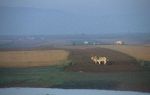 voyage myanmar 9_Mandalay_Fields_in_the_morning.thumb.jpg