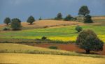 voyage myanmar A_Pindaya_Landscape_4.thumb.jpg