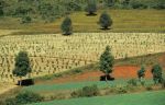 voyage myanmar A_Pindaya_Landscape_5_close_up.thumb.jpg