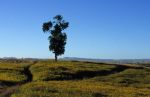voyage myanmar A_Pindaya_Landscape_6.thumb.jpg