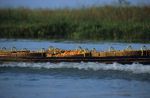 voyage myanmar BB_Inle_Boat_with_fruit.thumb.jpg
