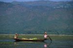 voyage myanmar BB_Inle_Boat_with_vegetables.thumb.jpg