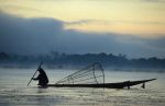 voyage myanmar BB_Inle_Fischerman_bird.thumb.jpg