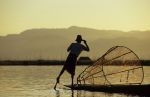 voyage myanmar BB_Inle_Fischerman_looking.thumb.jpg