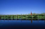 voyage myanmar BB_Inle_Woman_on_the_bridge.thumb.jpg