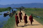 voyage myanmar B_Inle_Young_monks_walking.thumb.jpg