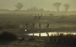 voyage myanmar B_Mandalay_People_in_the_fields_at_sunset.thumb.jpg