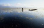 voyage myanmar Ba_Inle_boat_at_the_sky_line.thumb.jpg