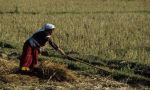 voyage myanmar Ba_Kengtung_Woman_working_in_the_fields_1.thumb.jpg