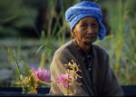 voyage myanmar Bi_Inle_Man_in_procession.thumb.jpg