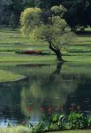 voyage myanmar Bi_Mamyo_english_garden.thumb.jpg