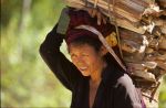 voyage myanmar Birma_Inle_paysanne_et_bois.thumb.jpg