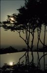 voyage myanmar Birma_Mt_Popa_piscine_et_reflets.thumb.jpg