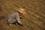 voyage myanmar Birma_Paysanne_travaillant_la_terre_Mandalay.thumb.jpg