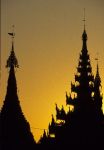 voyage myanmar Birma_Schwedagon_ombre.thumb.jpg