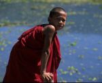 voyage myanmar Myanmar_Inle_Little_monk.thumb.jpg
