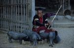 voyage myanmar Myanmar_Kengtung_Woman_with_pigs.thumb.jpg