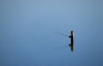 voyage myanmar Myanmar_U_Bein_bridge_6.thumb.jpg